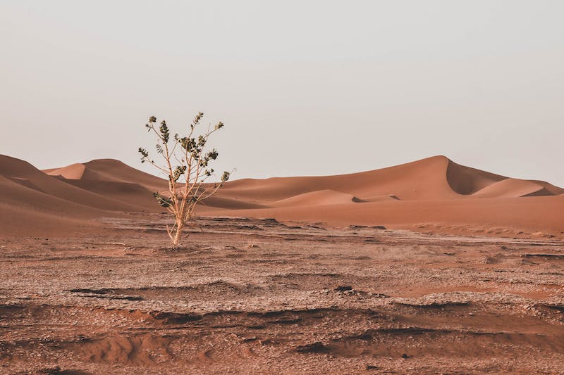 Mhamid desert